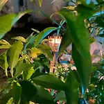 Maison 1823 - De Charme A فندق مبيت وإفطار